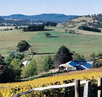 Freycinet Vineyards Pty Ltd - Tourism Hervey Bay