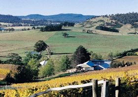 Freycinet Vineyards Pty Ltd - Hervey Bay Accommodation 0