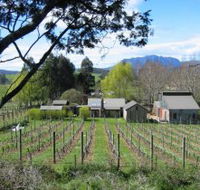 Wilmot Hills Vineyard - Hervey Bay Accommodation