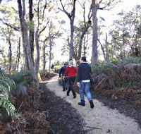 Bridport Walking Track - Hervey Bay Accommodation