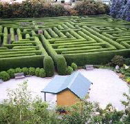 Westbury Maze and Tea Room - Hervey Bay Accommodation