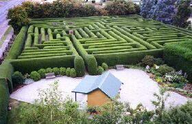 Westbury Maze And Tea Room - Tourism Hervey Bay 0