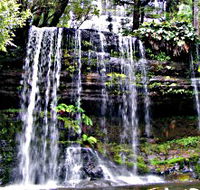Mt Field National Park - Hervey Bay Accommodation