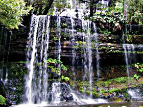 Mt Field National Park - Hervey Bay Accommodation 0