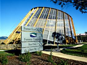Cuckoo TAS Hervey Bay Accommodation