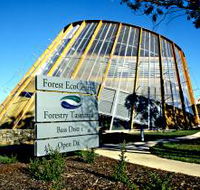 Forest EcoCentre - Hervey Bay Accommodation