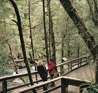 Franklin River Nature Trail - Hervey Bay Accommodation