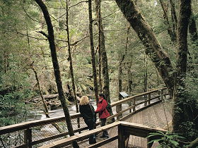 Franklin River Nature Trail - Hervey Bay Accommodation 0