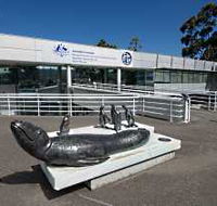 Australia's Antarctic Headquarters - Hervey Bay Accommodation