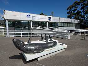 Australia's Antarctic Headquarters - Hervey Bay Accommodation 0