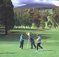 Deloraine Golf Course - Hervey Bay Accommodation