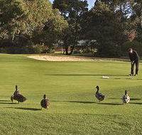 Royal Hobart Golf Club - Hervey Bay Accommodation