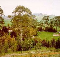 The Tasmanian Arboretum - Hervey Bay Accommodation