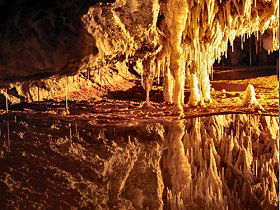 Marakoopa Cave - Tourism Hervey Bay 0