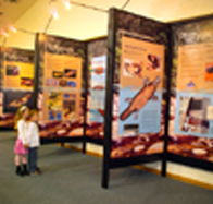 Platypus Experience