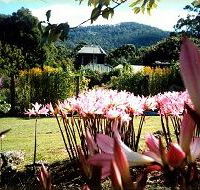 Blueberry Cottage Open Gardens - Tourism Hervey Bay