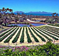 Kate's Berry Farm - Hervey Bay Accommodation