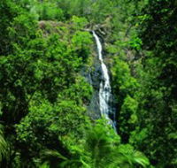 Kondalilla National Park - Hervey Bay Accommodation