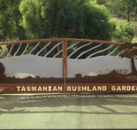 Tasmanian Bushland Garden - Hervey Bay Accommodation