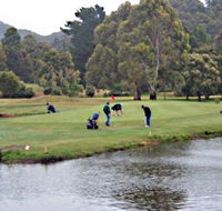 Penguin Golf Course