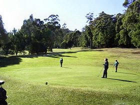 Sheffield Golf Course - Hervey Bay Accommodation 0