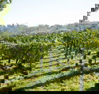 Surveyor's Hill Vineyards - Hervey Bay Accommodation