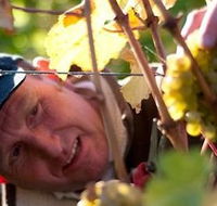 Puddleduck Vineyard - Hervey Bay Accommodation