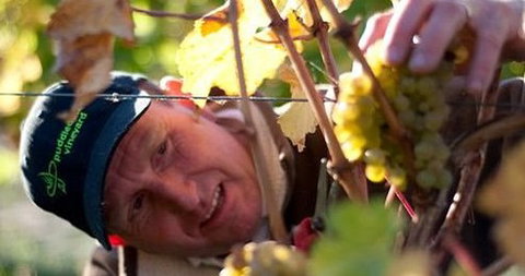 Puddleduck Vineyard - Tourism Hervey Bay 0