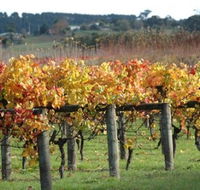 Apsley Gorge Vineyard - Tourism Hervey Bay