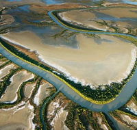 The Wilderness Gallery - Hervey Bay Accommodation