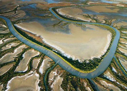 The Wilderness Gallery - Hervey Bay Accommodation 0