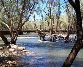 Low Level Nature Reserve - Tourism Hervey Bay 0