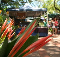 Nightcliff Markets - Tourism Hervey Bay