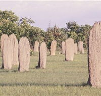 Magnetic Termite Mounds - Hervey Bay Accommodation