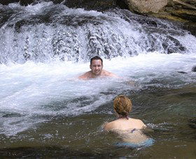 Berry Springs Nature Park - Hervey Bay Accommodation 0