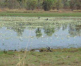 Leaning Tree Lagoon Nature Park - Hervey Bay Accommodation 0