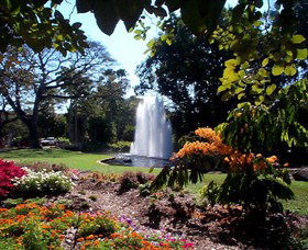 George Brown Darwin Botanic Gardens - Tourism Hervey Bay 0