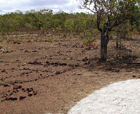 Wurrwurrwuy Garanhan Macassan Beach Interpretive Walk - Hervey Bay Accommodation 0