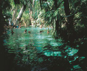 Mataranka Thermal Pool - Tourism Hervey Bay 0