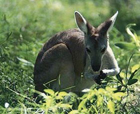  Hervey Bay Accommodation