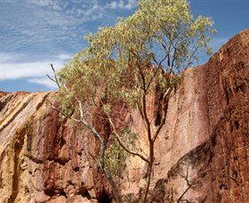 Ochre Pits - Hervey Bay Accommodation 0