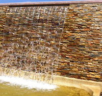 Howard Springs Nature Park - Hervey Bay Accommodation