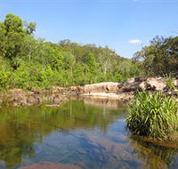Maguk