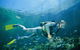 Kirra Reef Dive Site - thumb 0