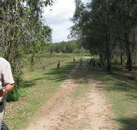 Coombabah Lakes Conservation Area - Hervey Bay Accommodation