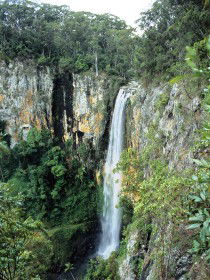 Gondwana Rainforests Of Australia - Hervey Bay Accommodation 0