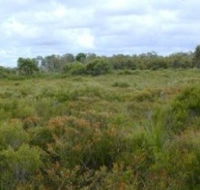 Pine Ridge Conservation Park - Hervey Bay Accommodation