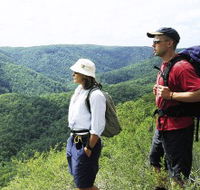 Sunshine Coast Hinterland Great Walk - Hervey Bay Accommodation