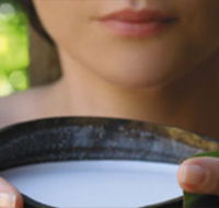 Ikatan Day Spa - Hervey Bay Accommodation