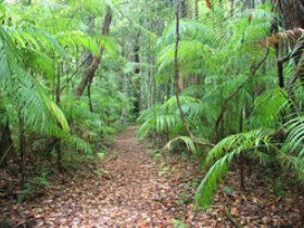 Mapleton QLD Hervey Bay Accommodation